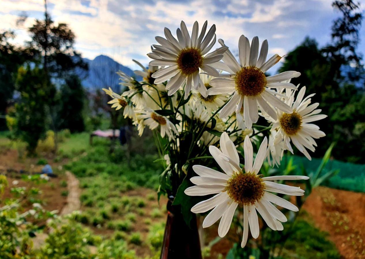 Bac Ha Eco Homestay Ханой Экстерьер фото